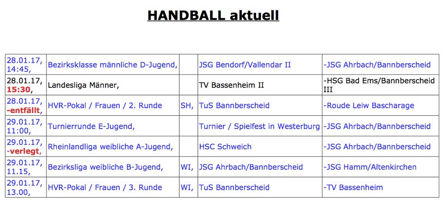 Handball am 28. und 29. Januar